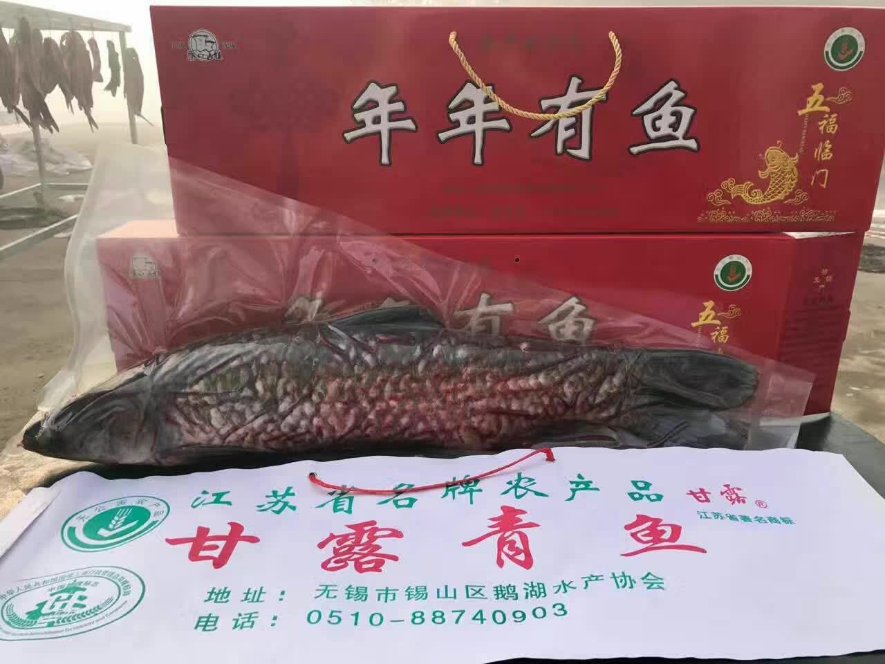 真空包装甘露青鱼-甘露青鱼